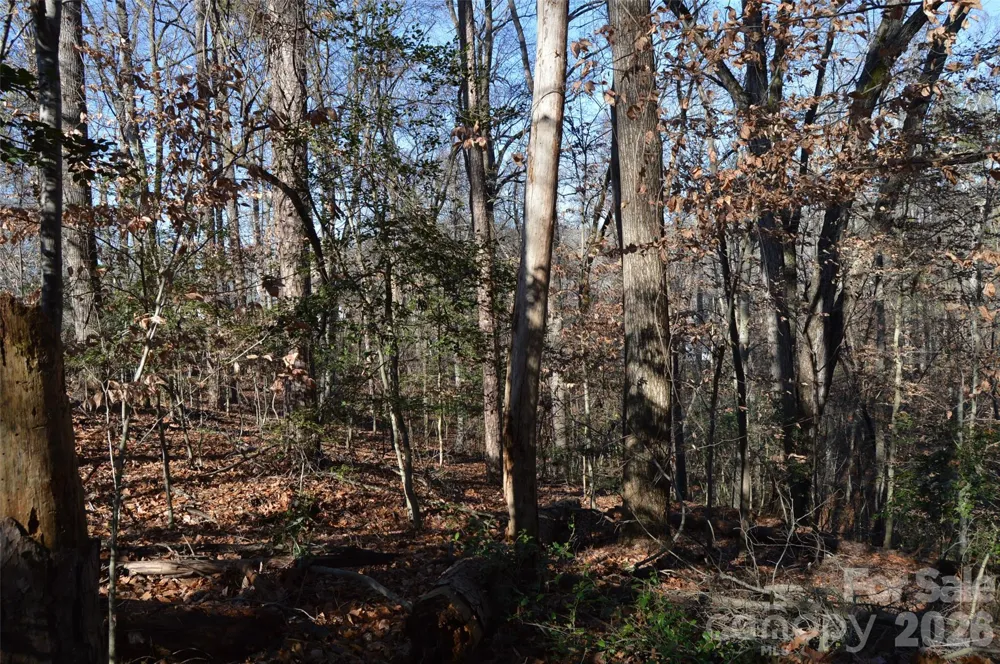 116 Sunset View Lane Statesville, NC 28677