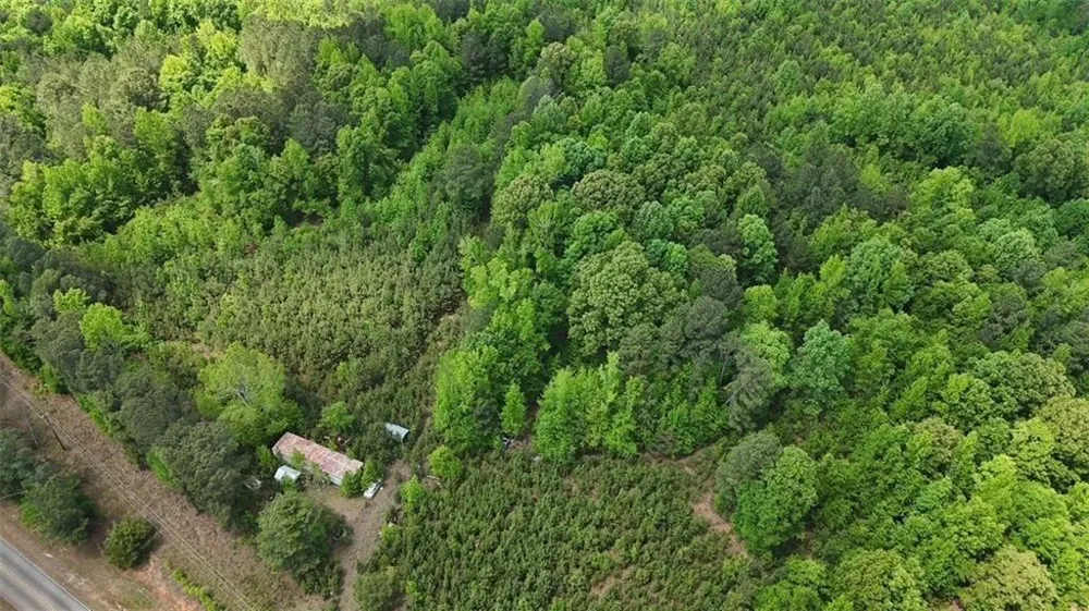 268 Ogletree Road Greenville, GA 30222