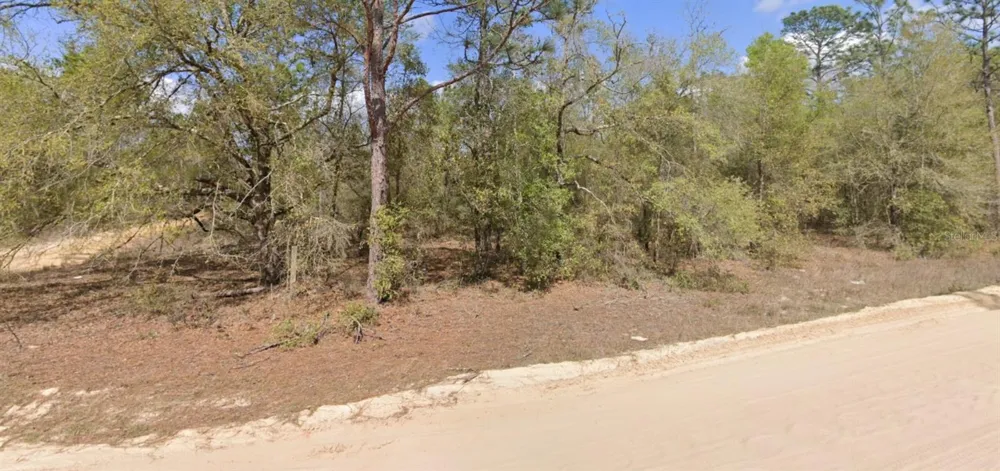 LOT 1 MARTINEDALE AVENUE Interlachen, FL 32148