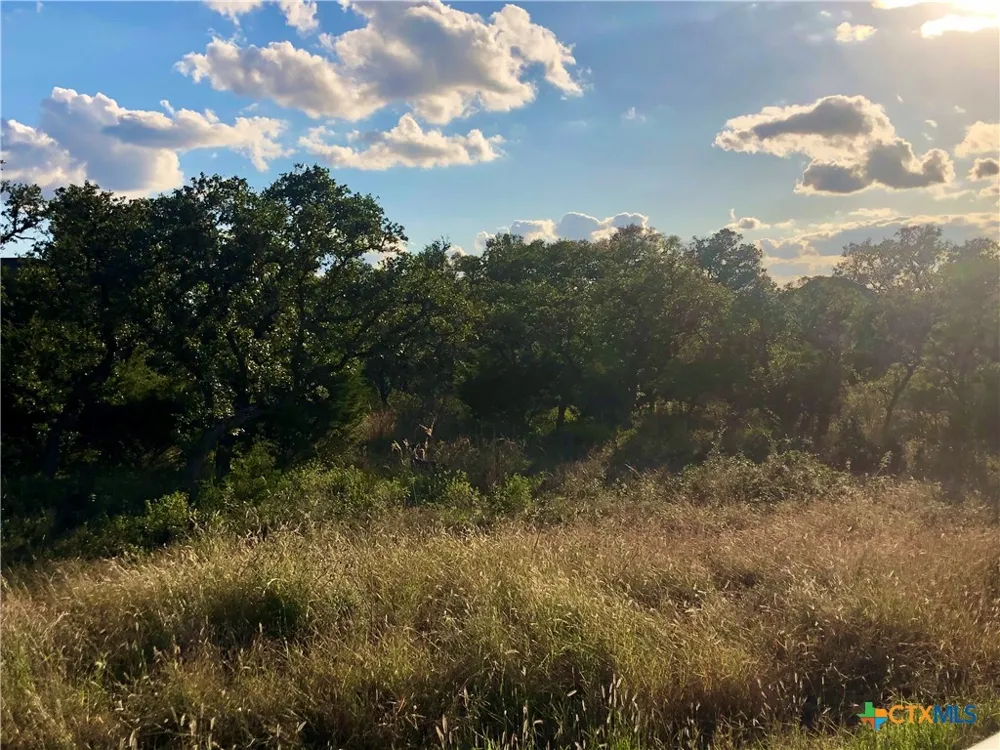 Chardonnay New Braunfels, TX 78132
