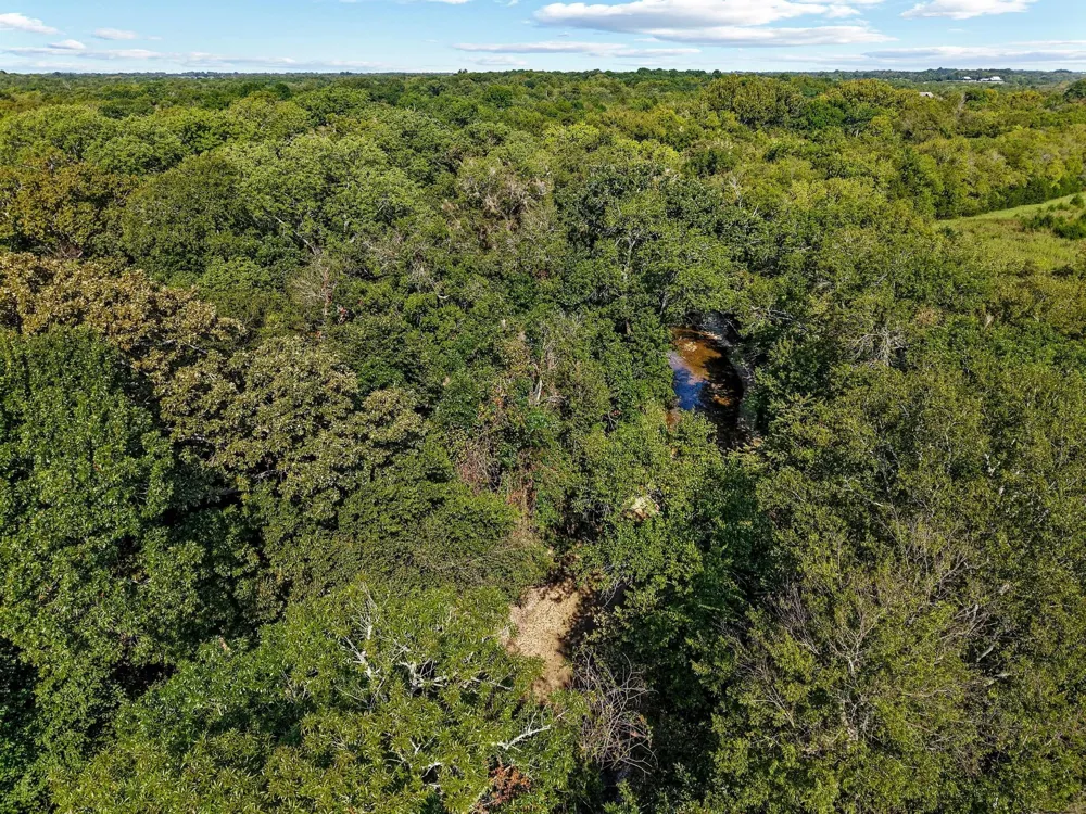 County Road 534 Whitewright, TX 75491