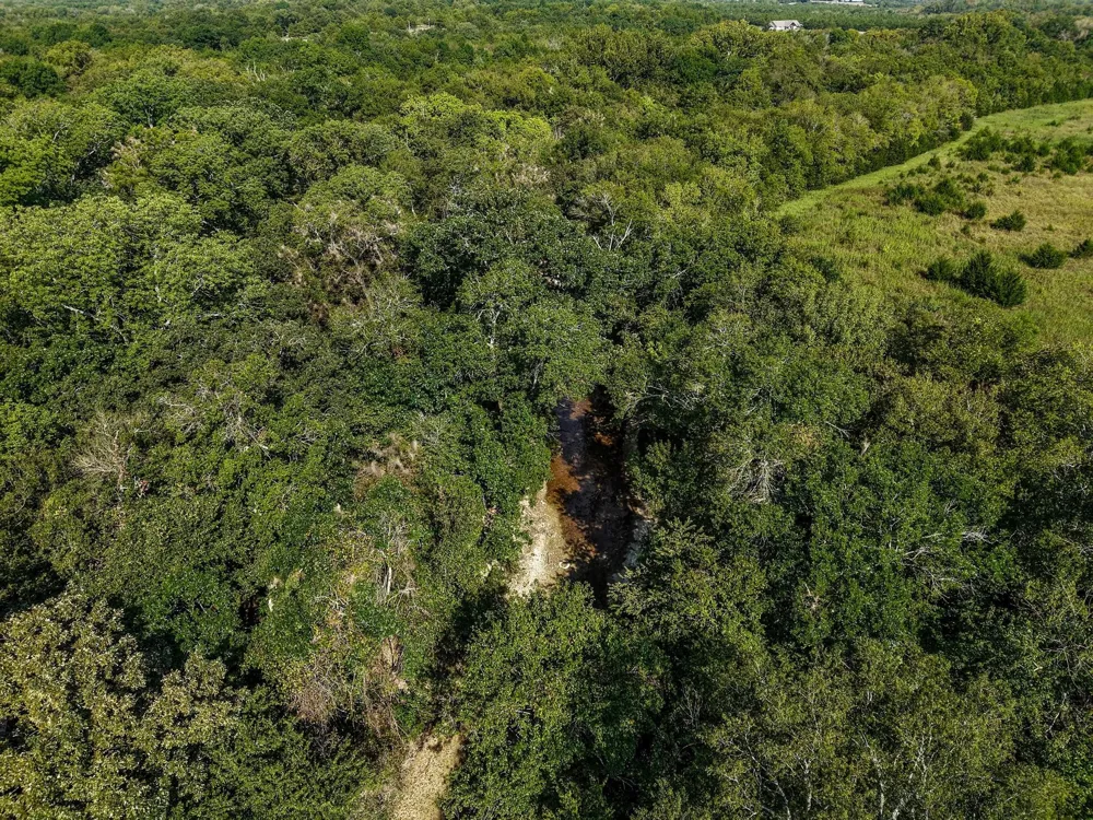County Road 534 Whitewright, TX 75491