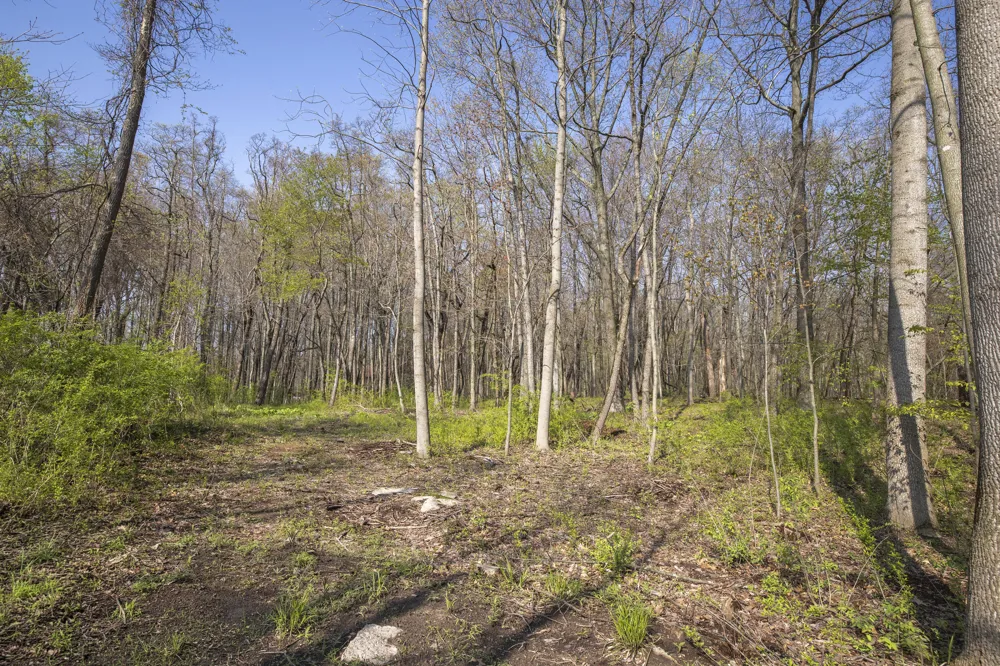 15161 Hillside Lakeside, MI 49116