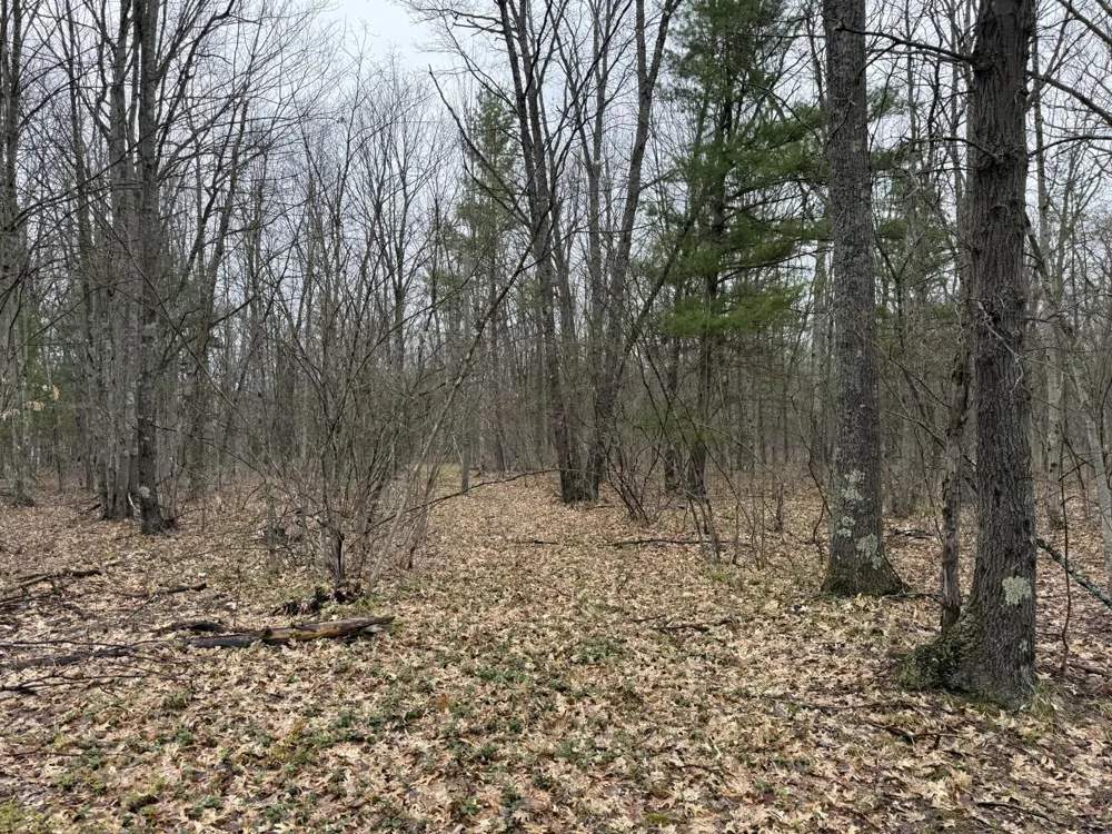 14995 River Road Brethren, MI 49619