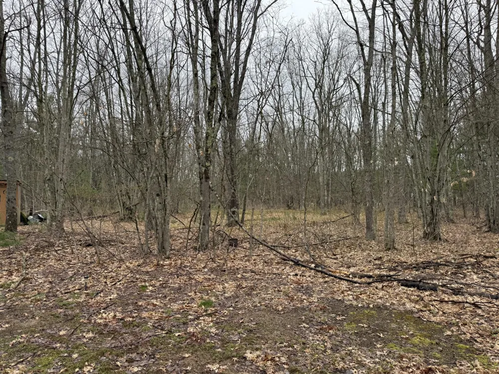 14995 River Road Brethren, MI 49619