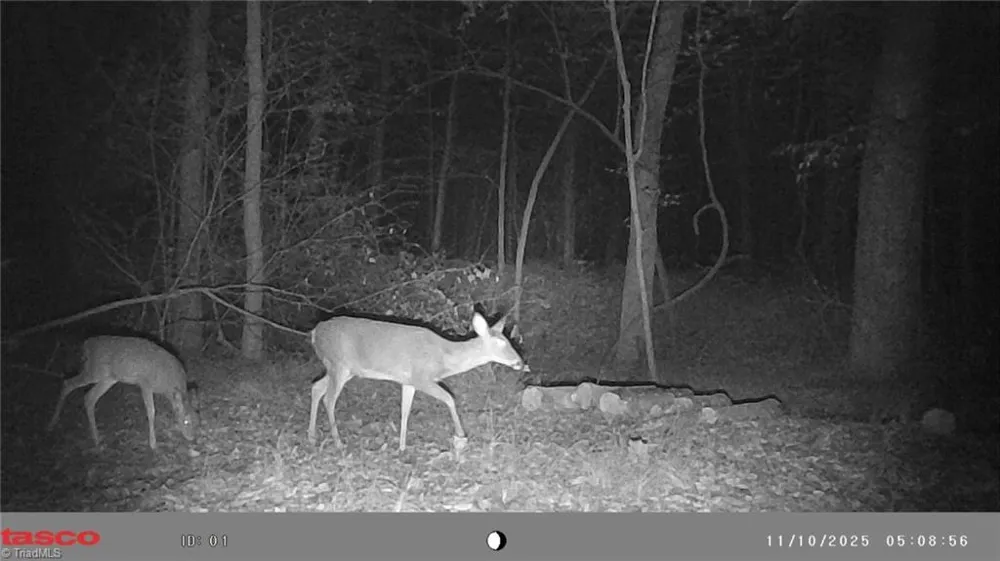 5706 TURNER SMITH ROAD Browns Summit, NC 27214