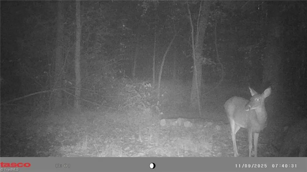 5706 TURNER SMITH ROAD Browns Summit, NC 27214