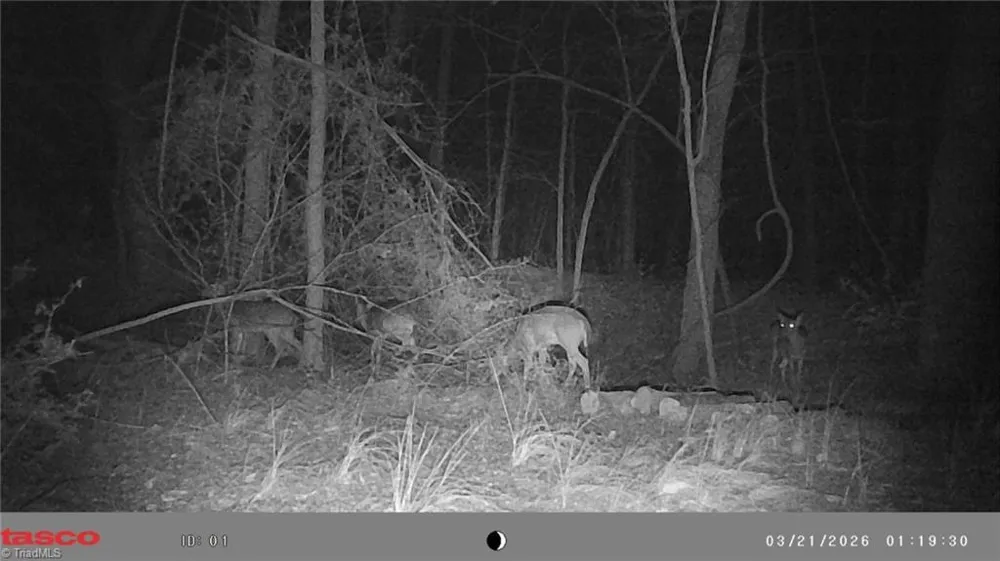 5706 TURNER SMITH ROAD Browns Summit, NC 27214