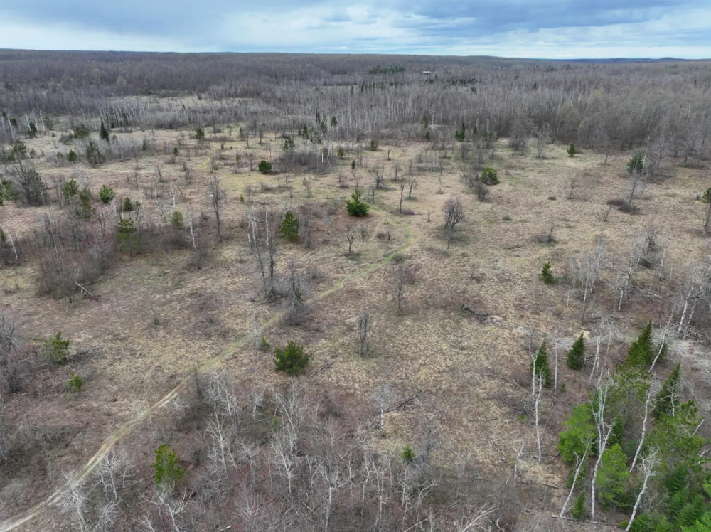 15 Finnegan Road Johannesburg, MI 49751
