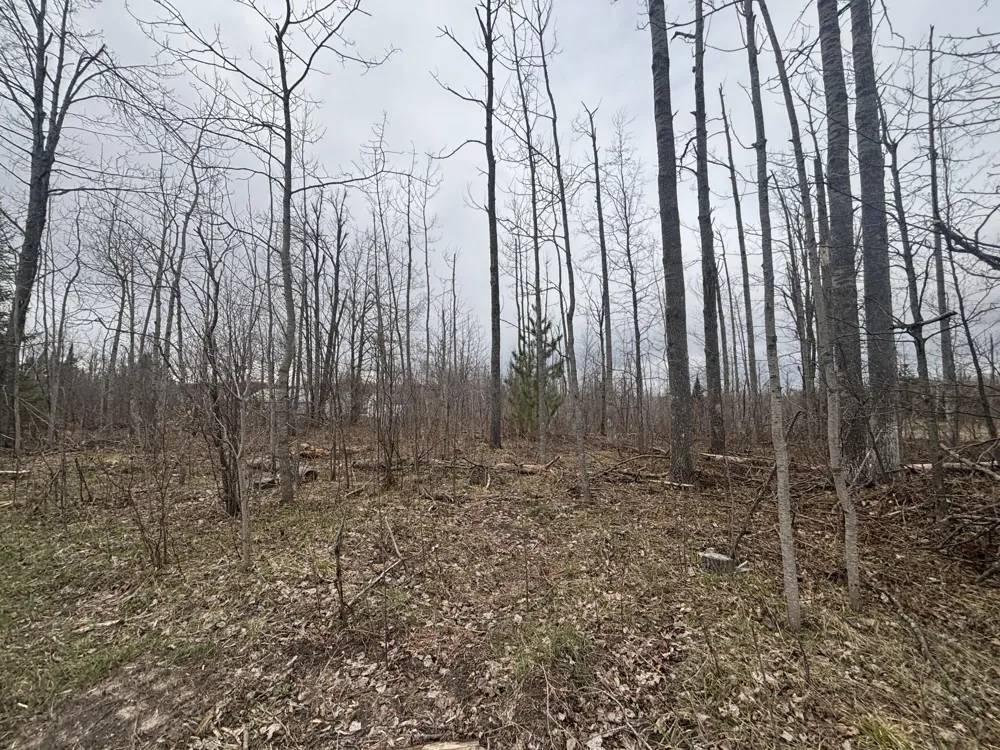 15 Finnegan Road Johannesburg, MI 49751