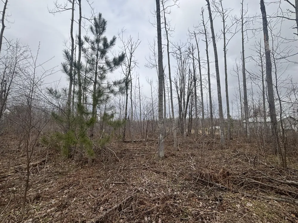 15 Finnegan Road Johannesburg, MI 49751