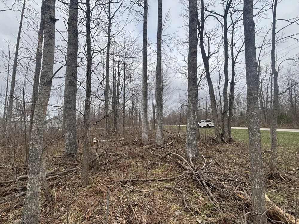 15 Finnegan Road Johannesburg, MI 49751