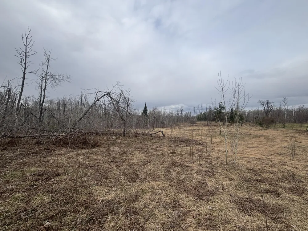 15 Finnegan Road Johannesburg, MI 49751