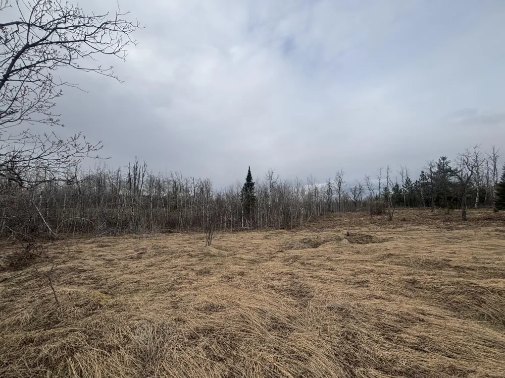 15 Finnegan Road Johannesburg, MI 49751