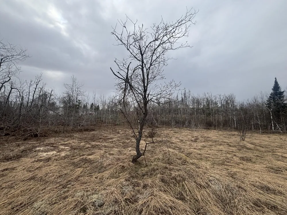 15 Finnegan Road Johannesburg, MI 49751