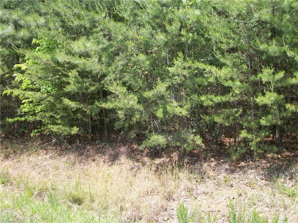 00 Floyd Road Eden, NC 27288