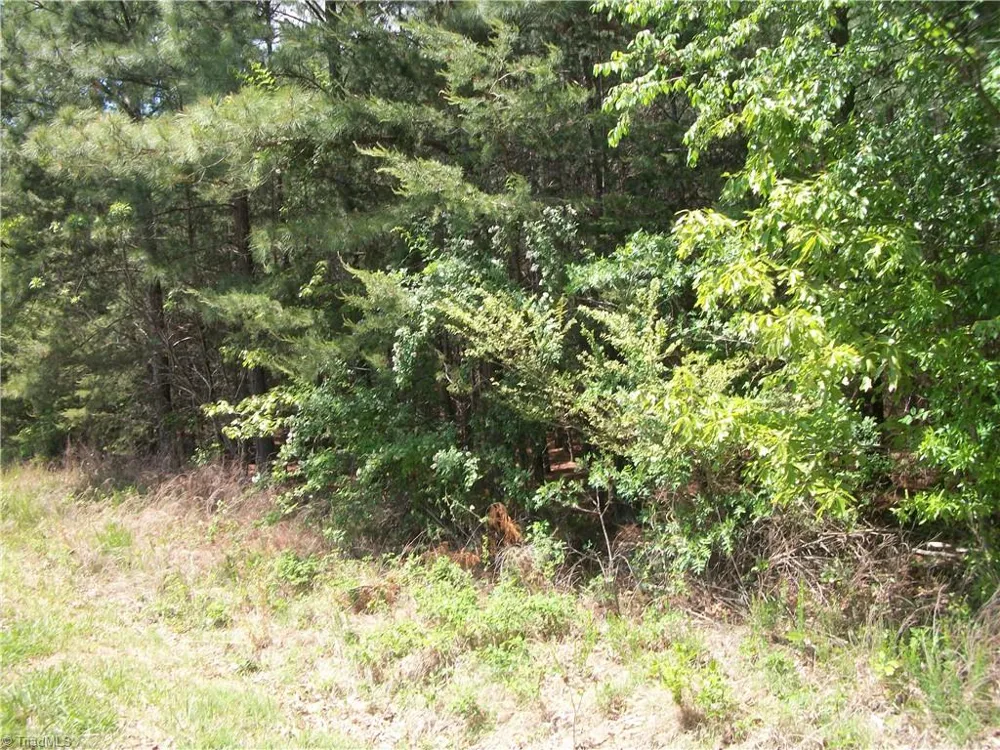 00 Floyd Road Eden, NC 27288