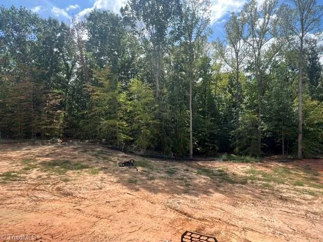7603 Pemberley Drive Oak Ridge, NC 27310
