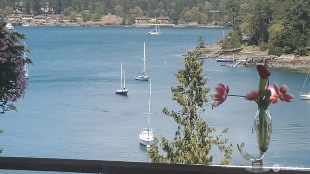 460 Harrison Street Friday Harbor, WA 98250