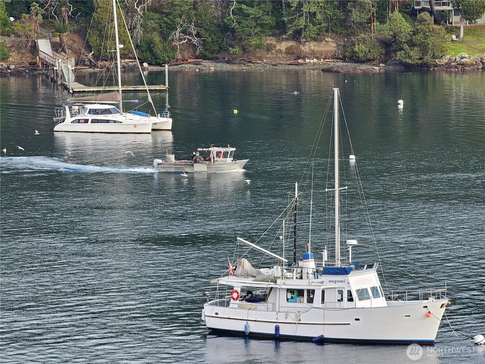 460 Harrison Street Friday Harbor, WA 98250
