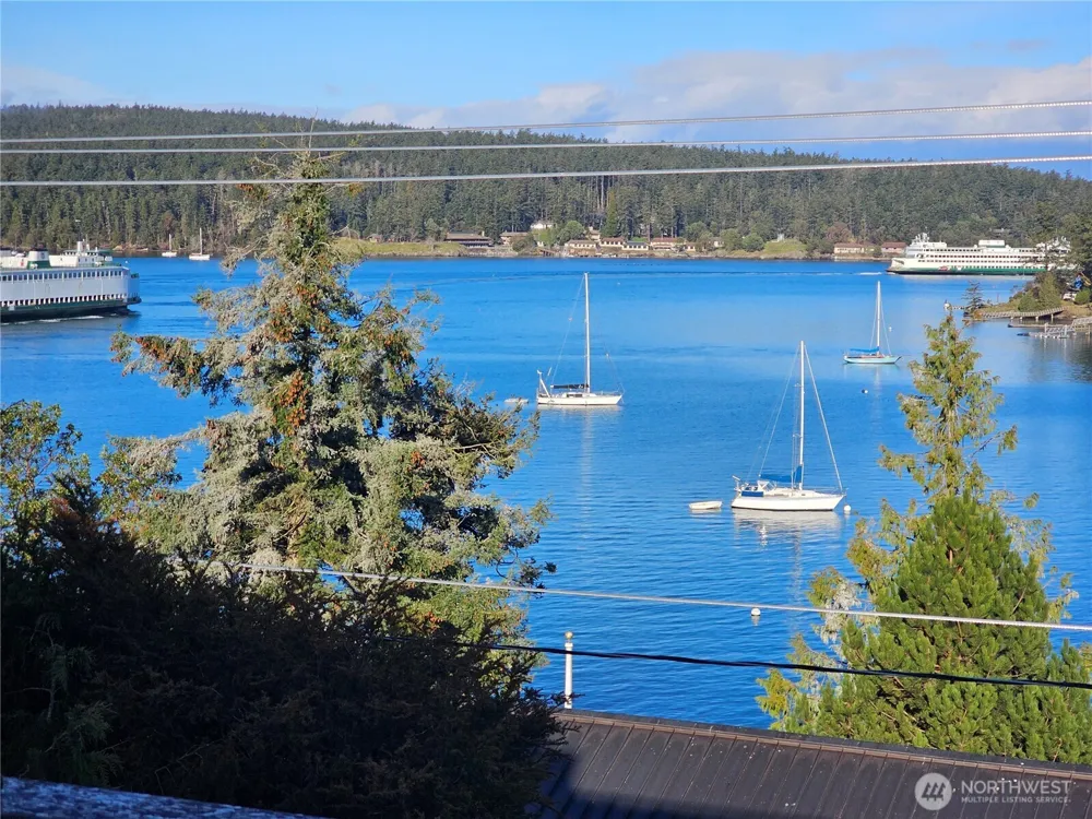 460 Harrison Street Friday Harbor, WA 98250