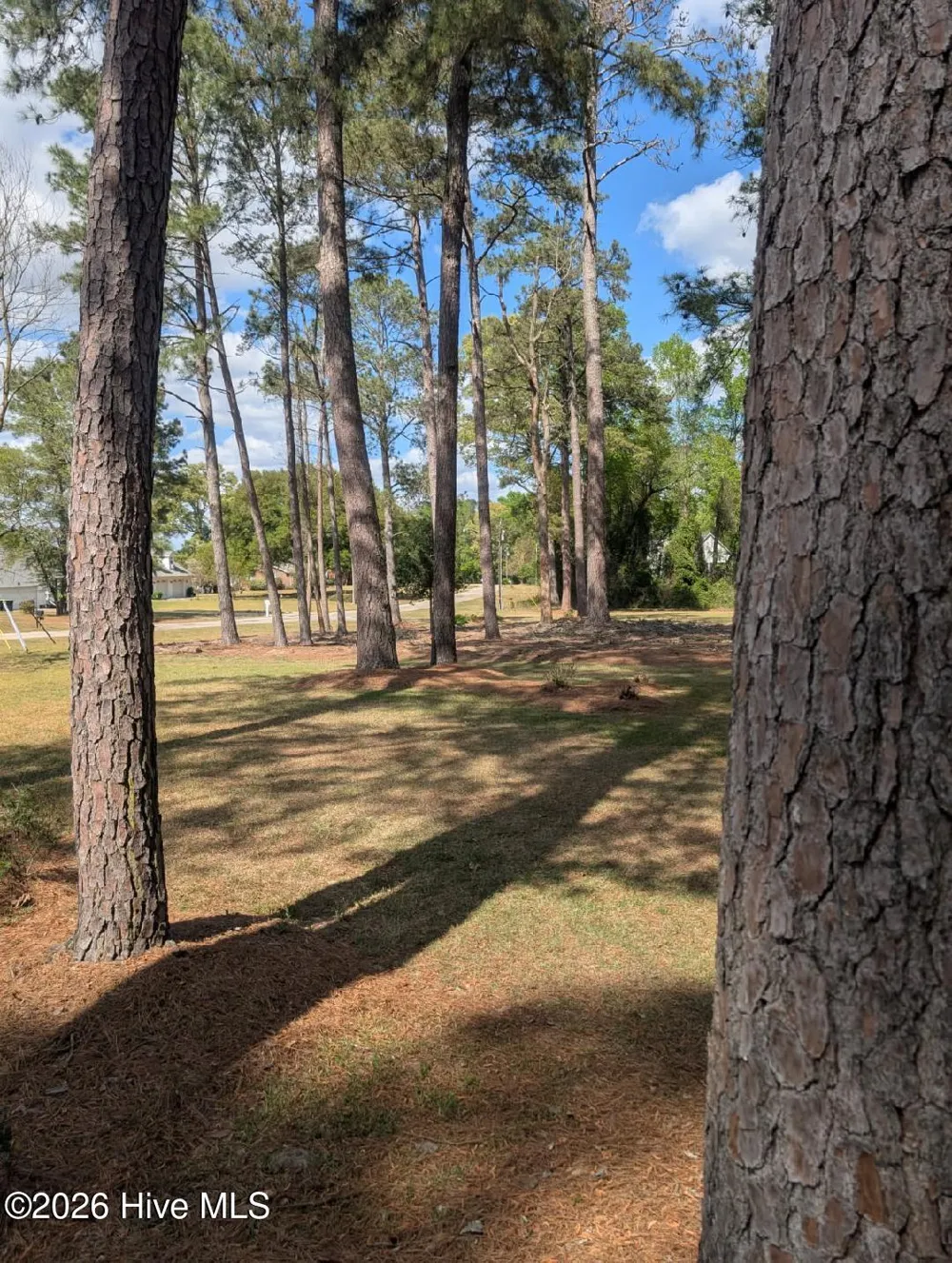 301 Fork Lake Drive Clinton, NC 28328