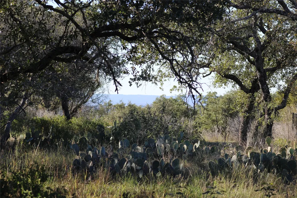 316 Crestview View Horseshoe Bay, TX 78657