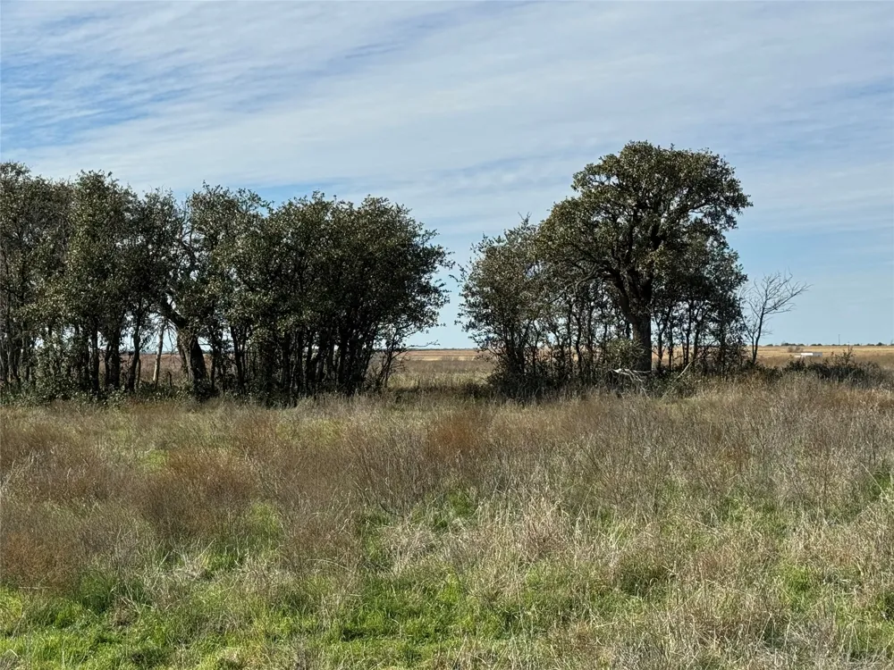 1806 County Road 2425 Iredell, TX 76649