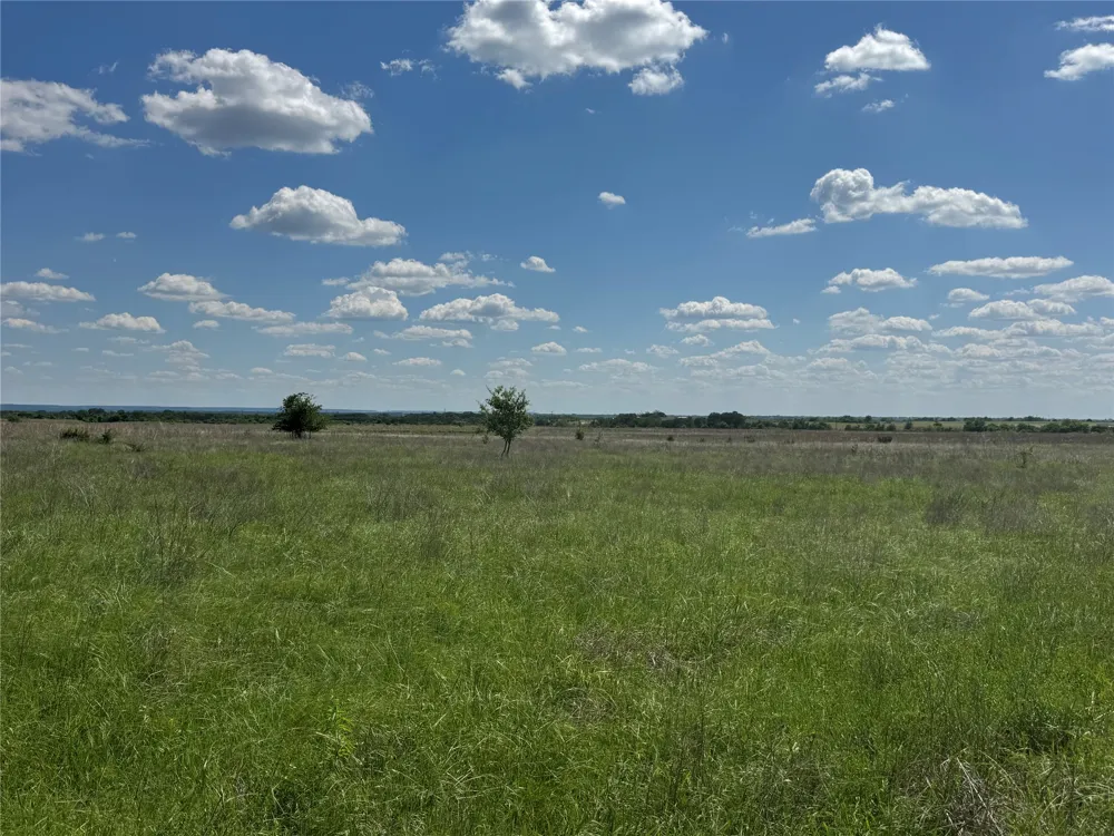 1806 County Road 2425 Iredell, TX 76649
