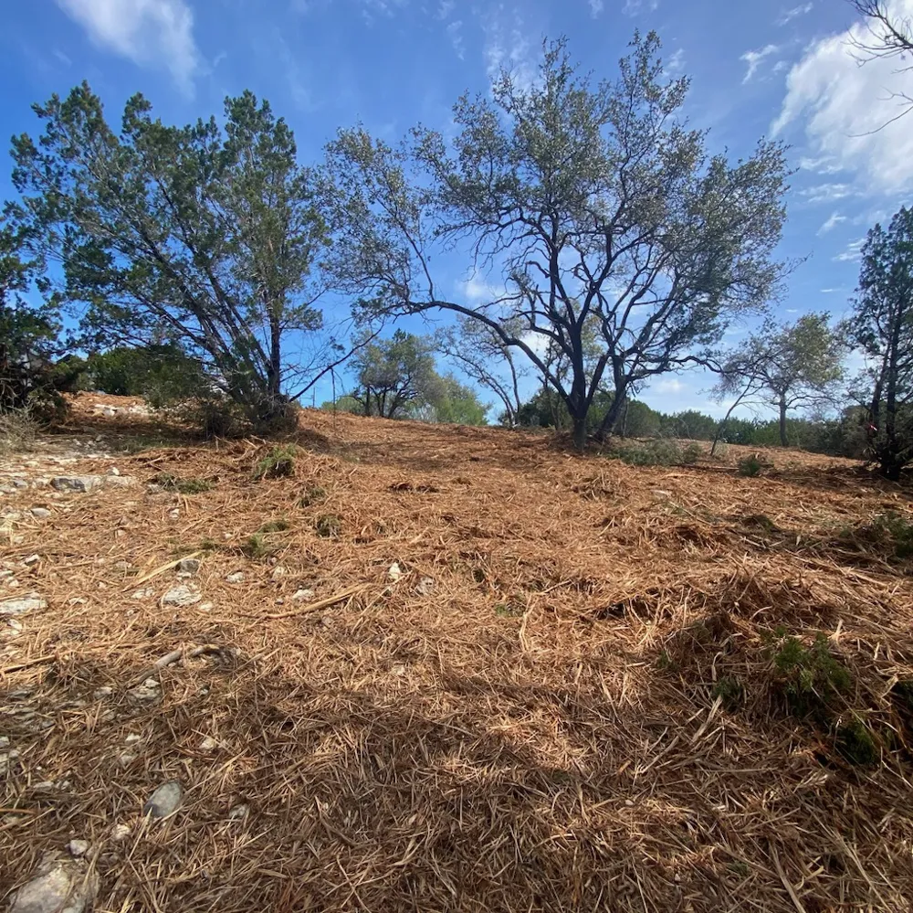1155 Barrie Drive Austin, TX 78734