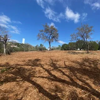 1155 Barrie Drive Austin, TX 78734