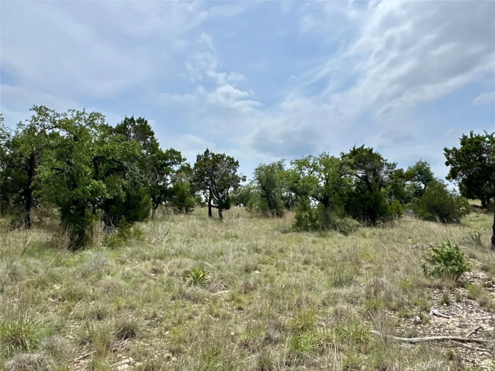 1180 Old Red Ranch Road Dripping Springs, TX 78620