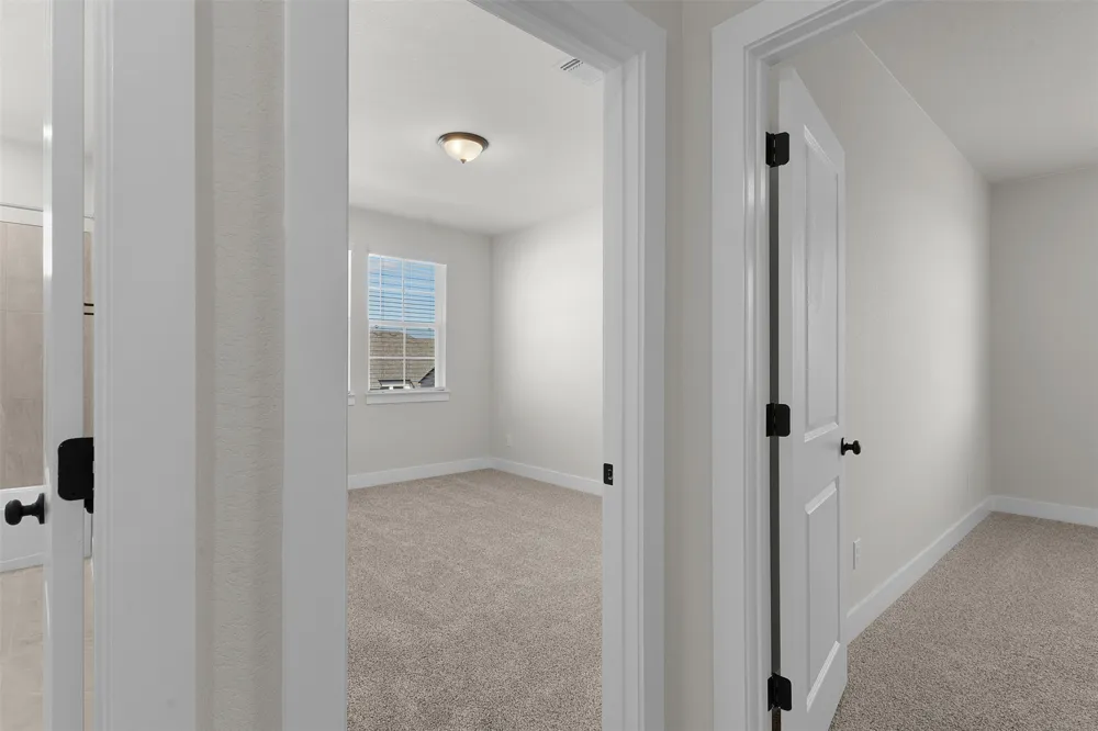 1704 Willow Bean Drive Georgetown, TX 78633