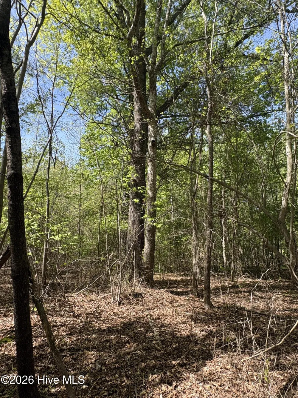 7818-1 McGregor Road Nashville, NC 27856
