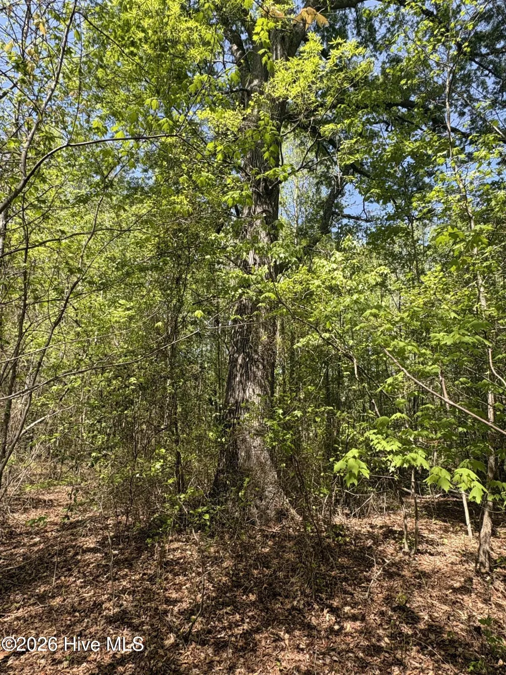 7818-1 McGregor Road Nashville, NC 27856