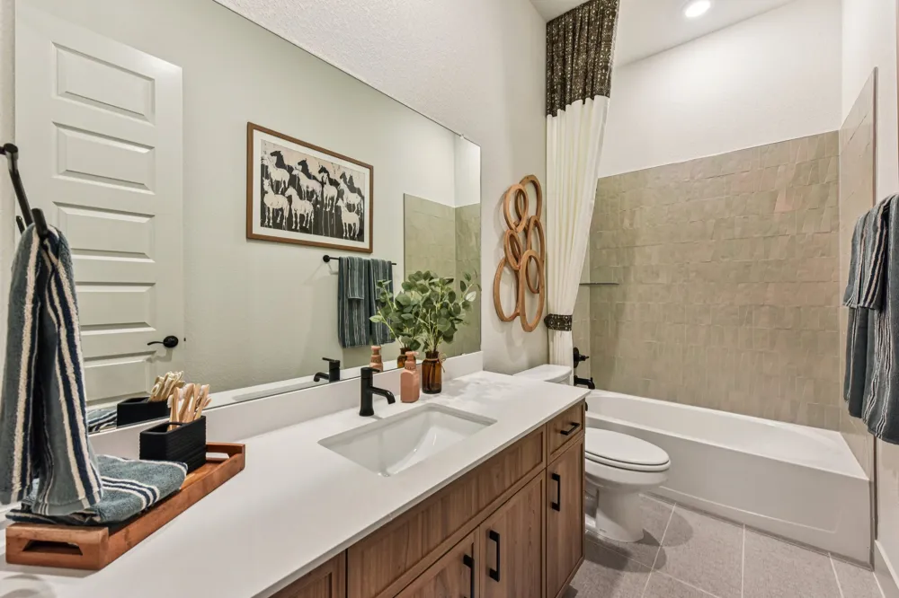 1708 Willow Bean Drive Georgetown, TX 78633