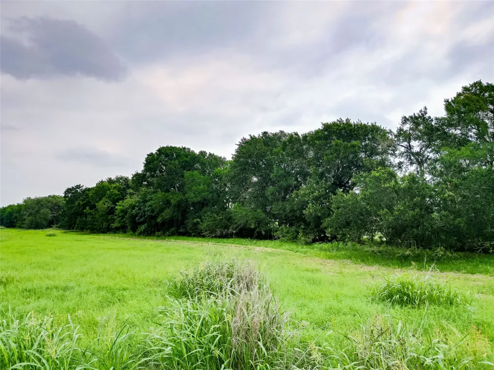 FM 1854 Highway Dale, TX 78616