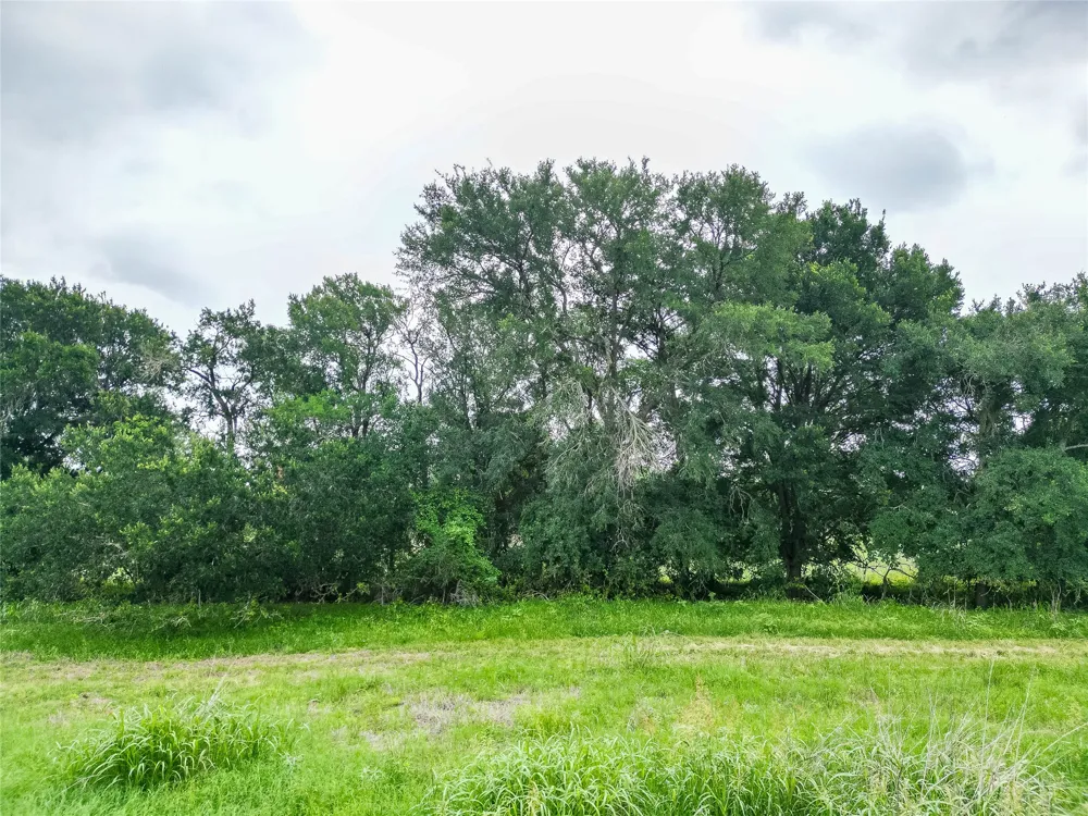 FM 1854 Highway Dale, TX 78616