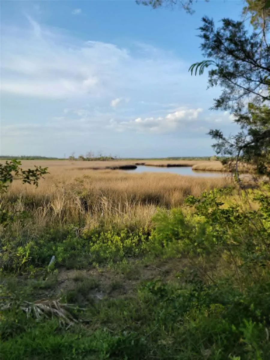 4021 EAGLE NEST DRIVE Hernando Beach, FL 34607