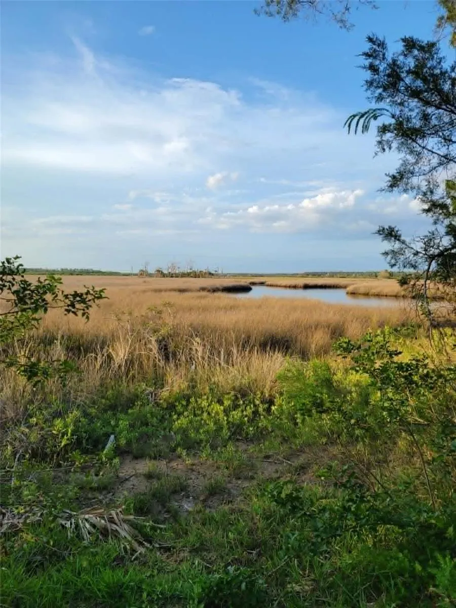 4021 EAGLE NEST DRIVE Hernando Beach, FL 34607