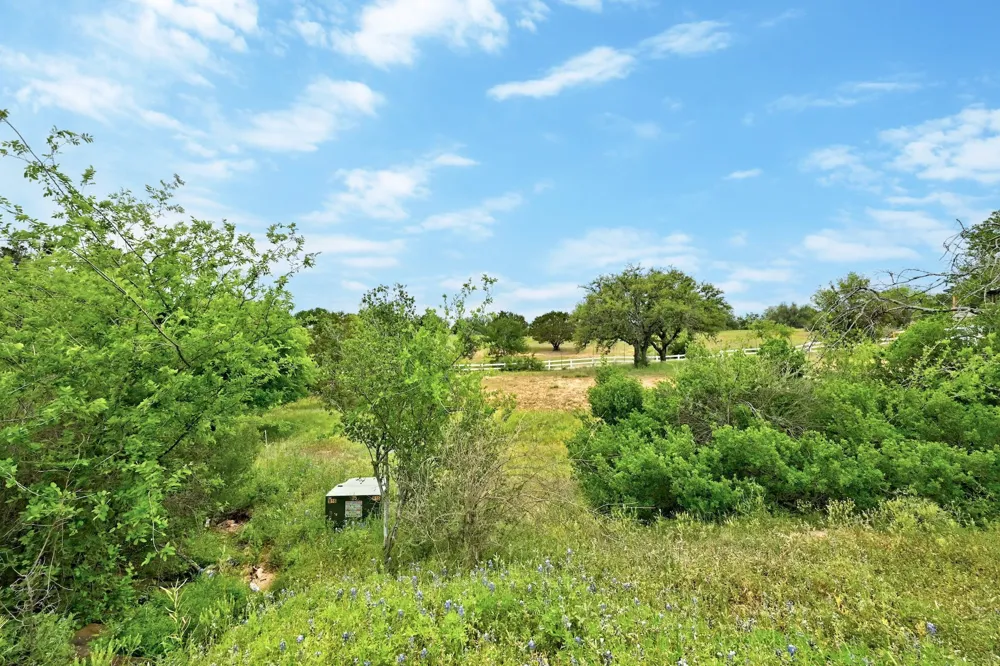 Cats Eye (1) Horseshoe Bay, TX 78657