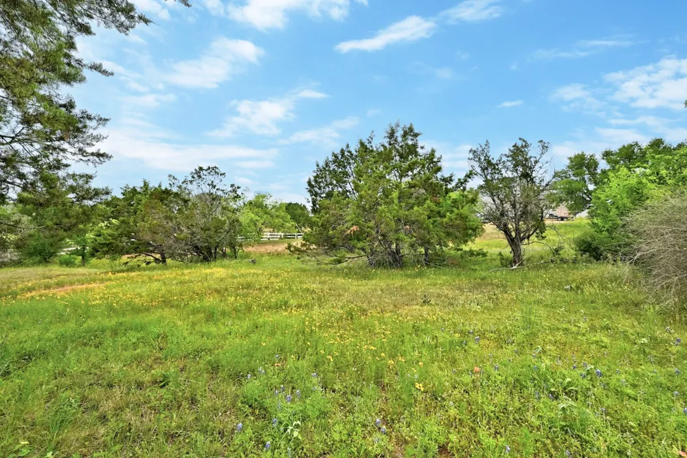 Cats Eye (1) Horseshoe Bay, TX 78657