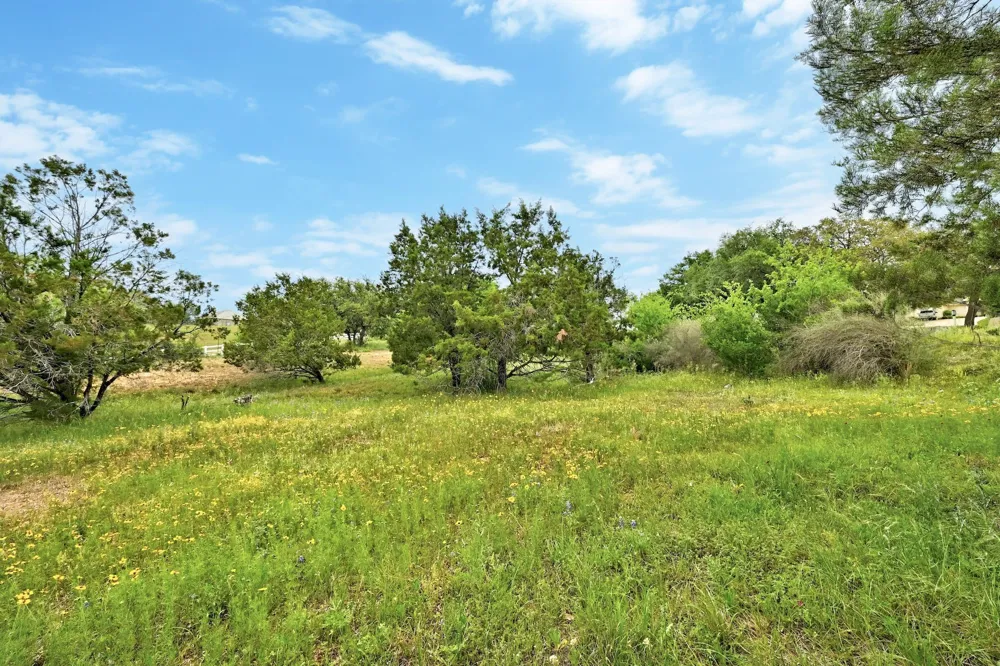 Cats Eye (1) Horseshoe Bay, TX 78657
