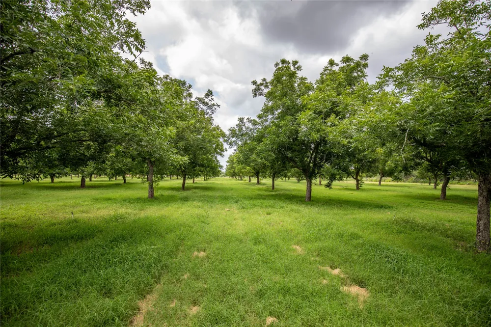 2432 County Road 402 B Falfurrias, TX 78355