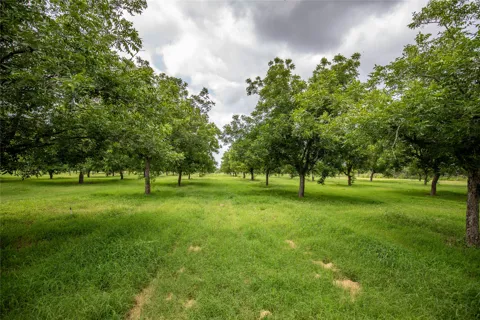 2432 County Road 402 B