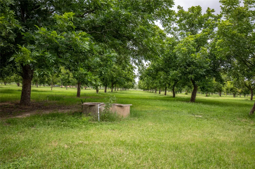 2432 County Road 402 B Falfurrias, TX 78355