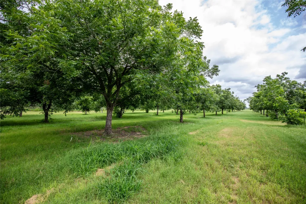 2432 County Road 402 B Falfurrias, TX 78355