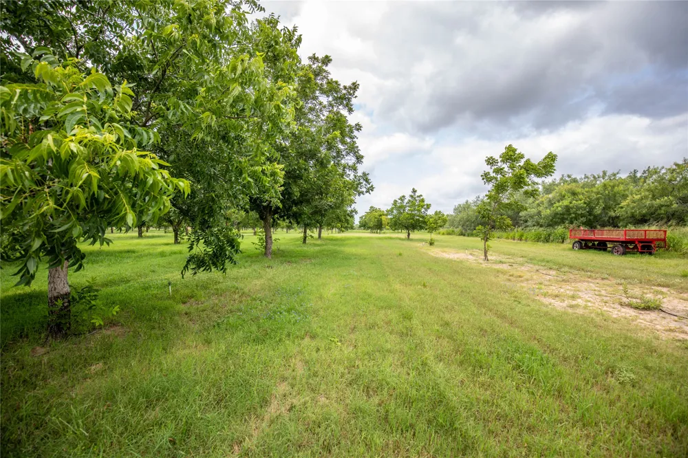 2432 County Road 402 B Falfurrias, TX 78355