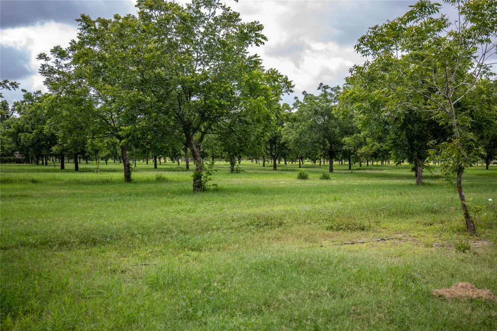 2432 County Road 402 B Falfurrias, TX 78355