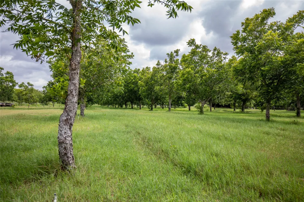 2432 County Road 402 B Falfurrias, TX 78355